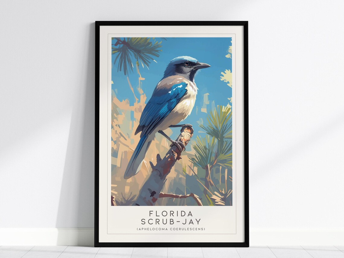 Florida Scrubjay Art Print, Modern Bird Decor