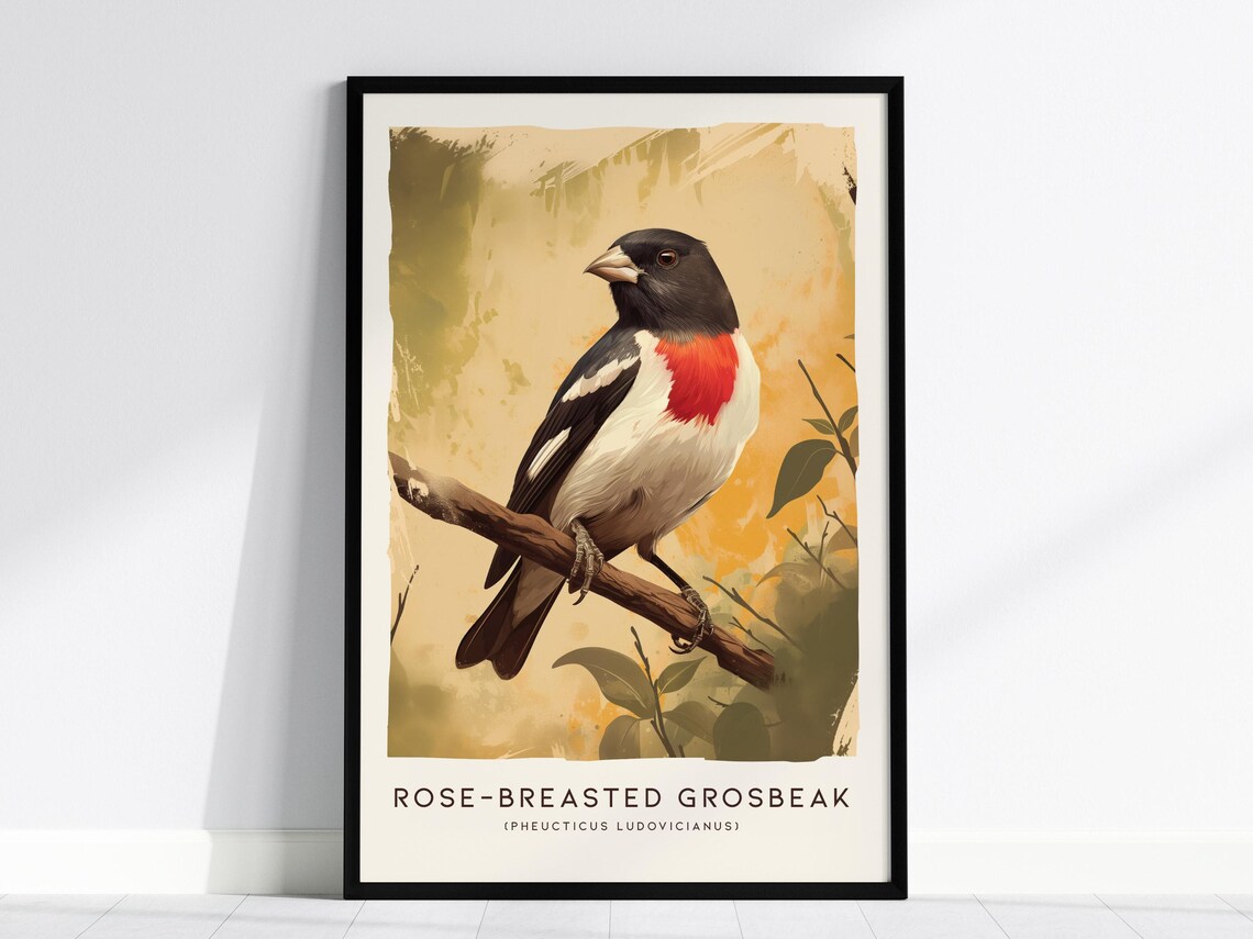Rose-Breasted Grosbeak Art Print, Elegant Bird Poster