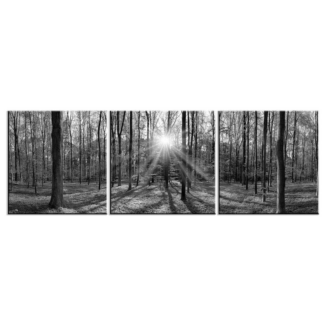 Black White Sunrays Forest Modern Design Art Print