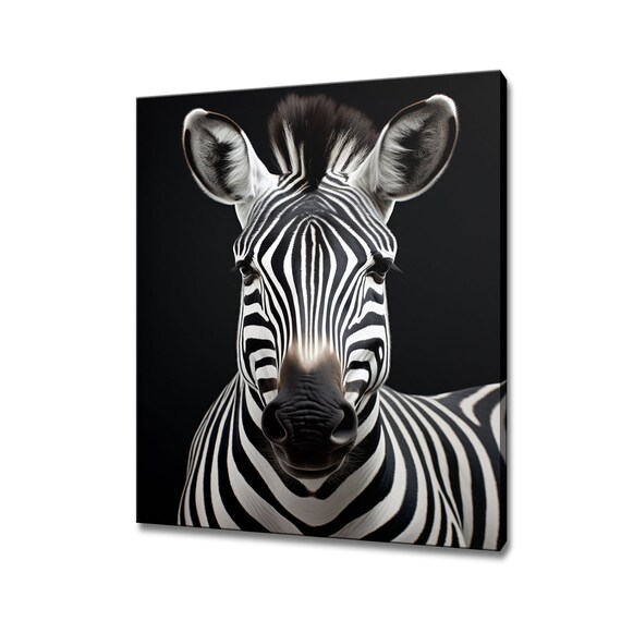 Zebra Face Front View Portrait On Black African Wildlife Wall Poster