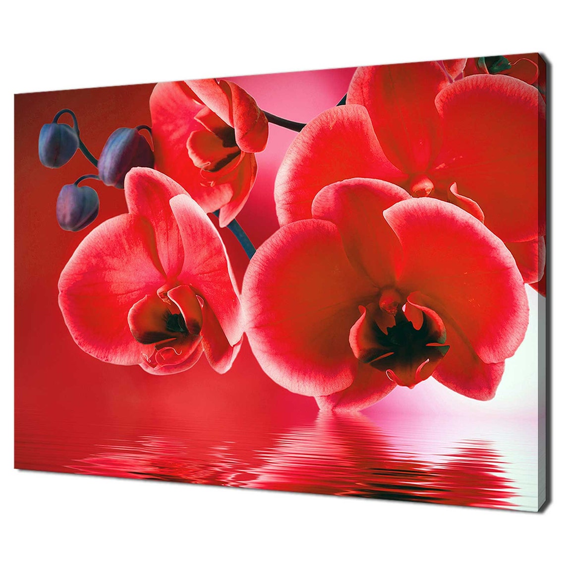 Red Orchid Flowers Water Reflection Bold Romantic Floral Canvas Print