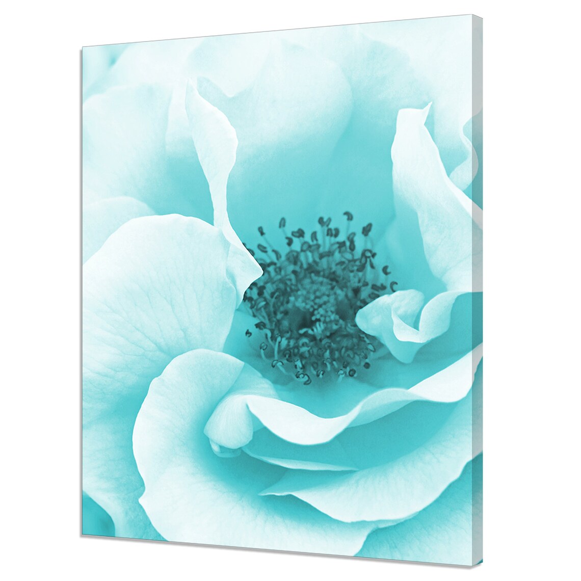 Blue Teal Peony Flower Modern Floral Art Print