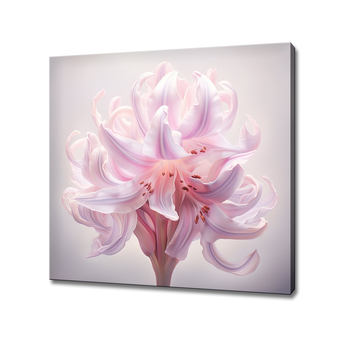 Pink Hyacinth Flower Close-Up Soft White Background Botanical Wall Art