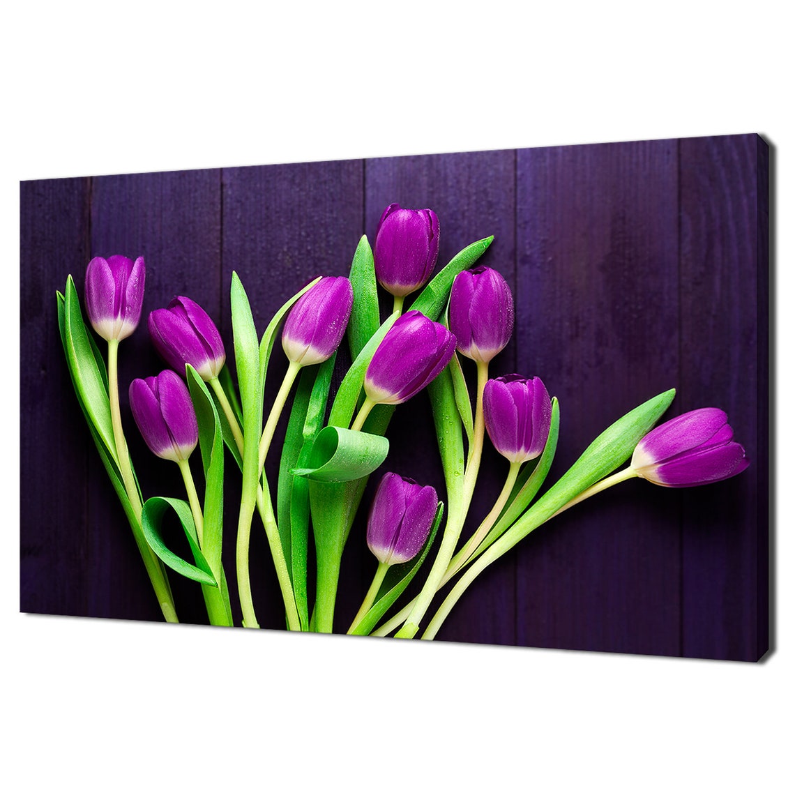 Purple Tulips on Dark Violet Wood Background Spring Flower Art Poster