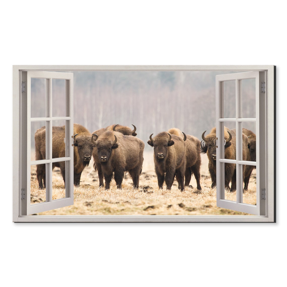Herd Of European Bison Through Open Window Illusion Wildlife Poster