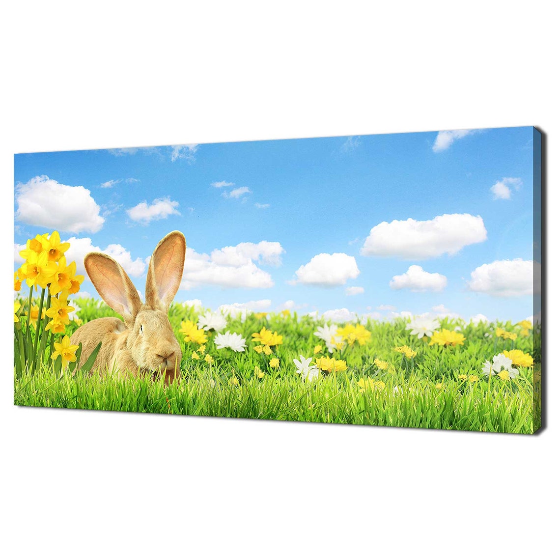 Cute Bunny Rabbit Spring Daffodils Meadow Blue Sky Animal Poster