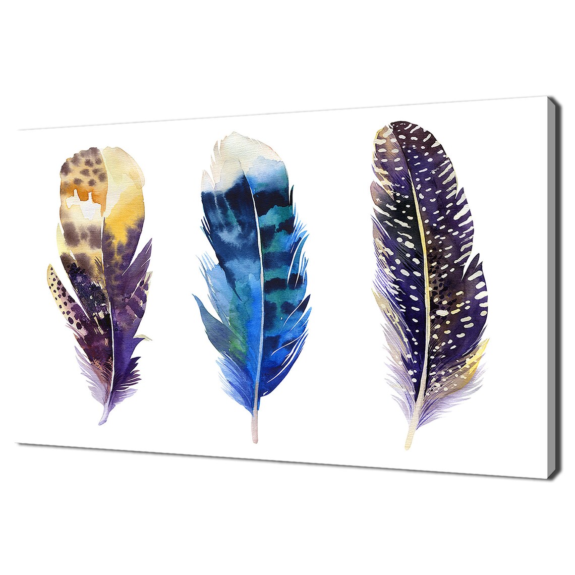 Three Colorful Watercolor Feathers Minimalist White Wall Art