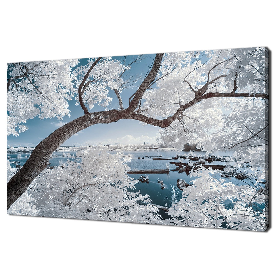 Infrared White Trees Over Blue Lake Dreamy Surreal Landscape Poster