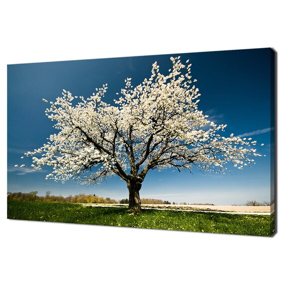 Blossoming Tree in Spring, Modern Design Wall Art
