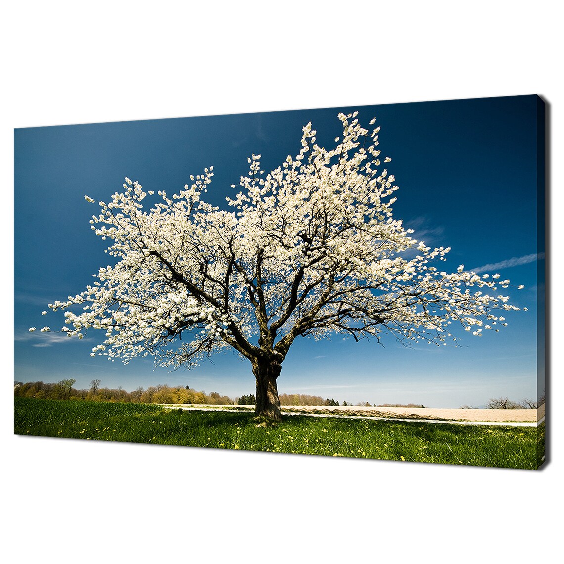 Blossoming Tree in Spring, Modern Design Wall Art