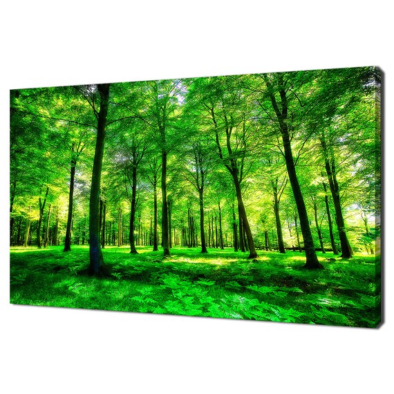 Green Forest Trees Nature Modern Design Home Decor Print Wall Art Picture Wall Hanging