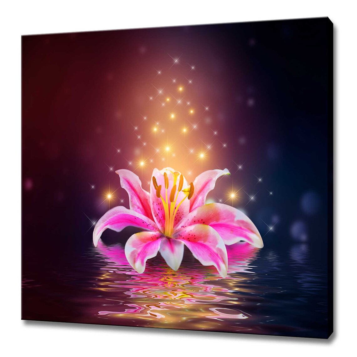 Pink Lily Flower on Dark Water Golden Sparkles Fantasy Floral Poster
