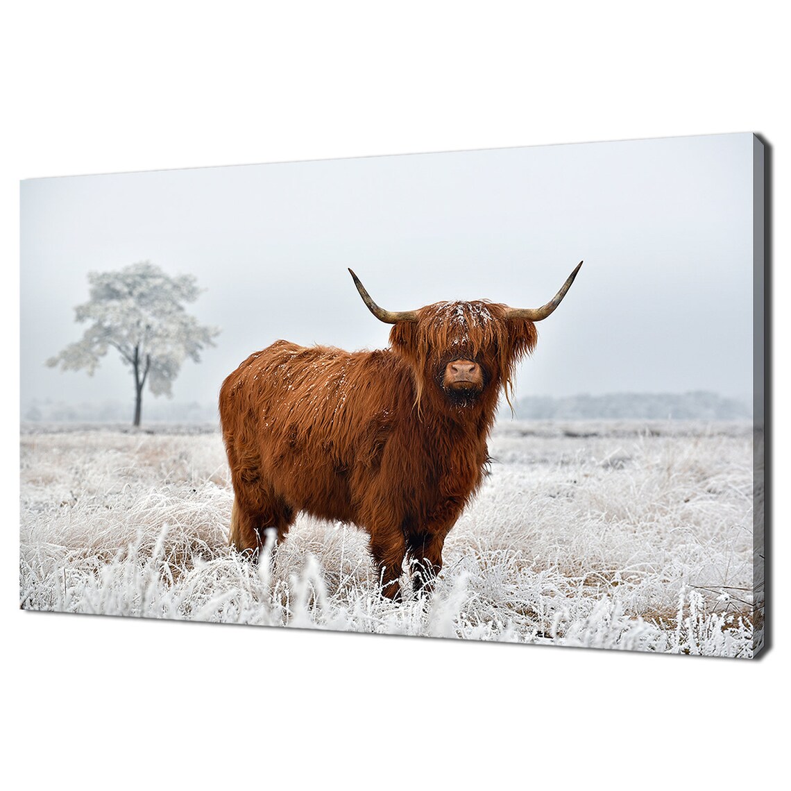Scottish Highland Cow Winter Landscape Modern Art Print