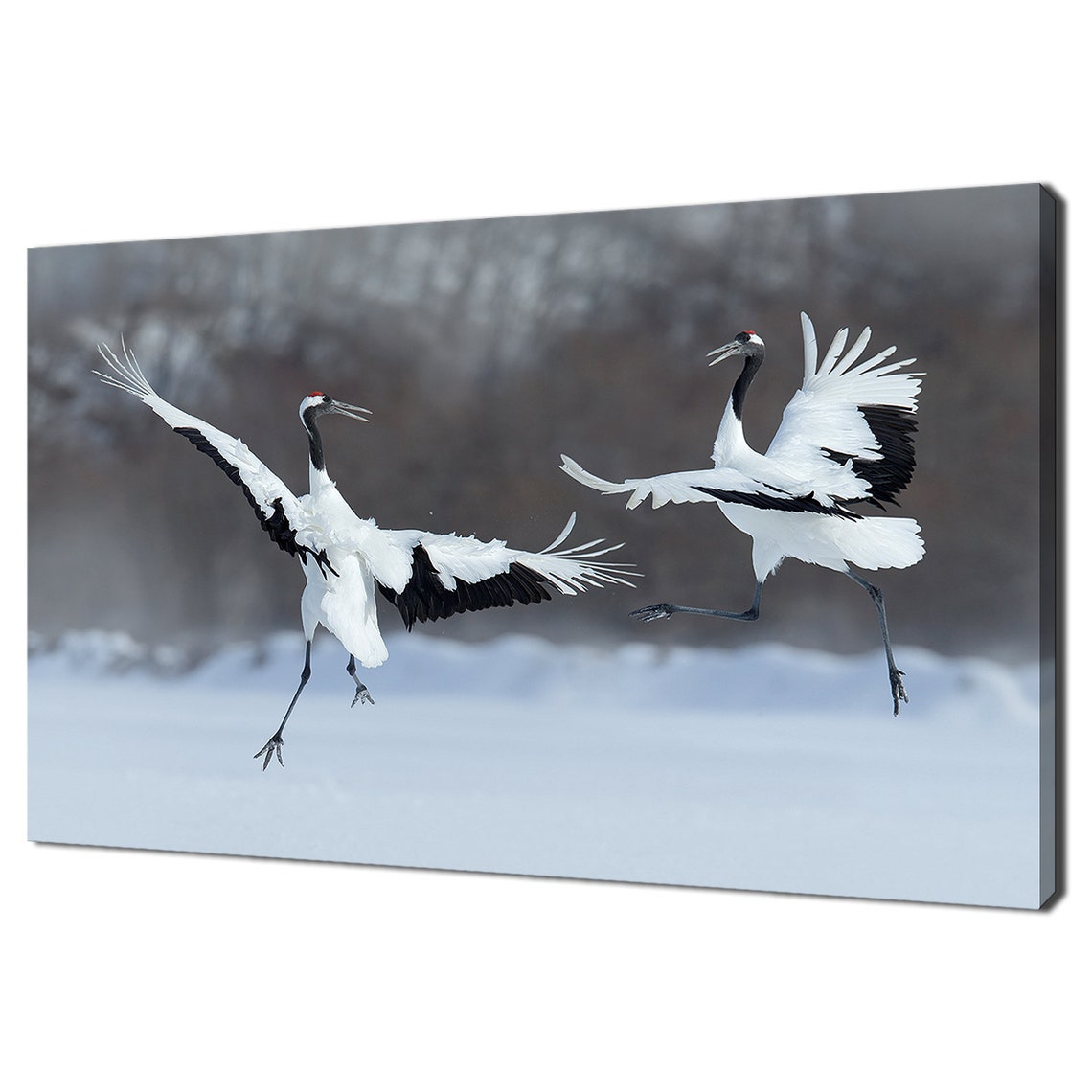 Red Crowned Cranes Dancing In The Snow Wildlife Bird Art Wall Poster