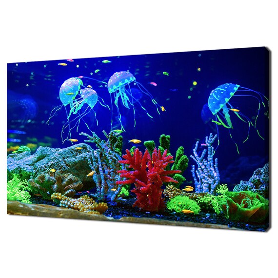 Beautiful Jellyfish Medusa In Colourful Aqurium Modern Design Home Decor Print Wall Art Wall Hanging