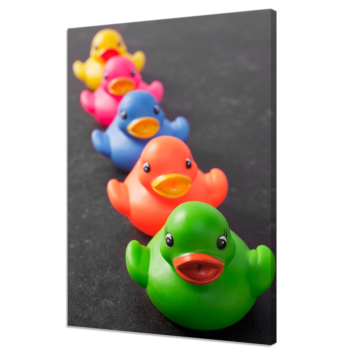 Five Colorful Rubber Ducks In Line Fun Bathroom Decor Kids Wall Art
