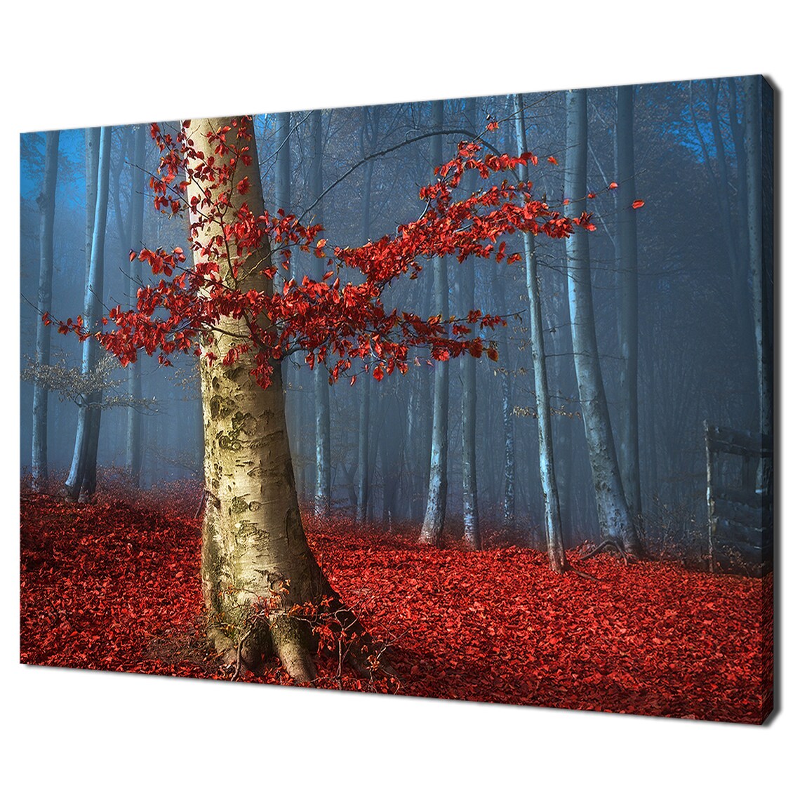 Tree With Red Leaves, Blue Foggy Forest Art Print