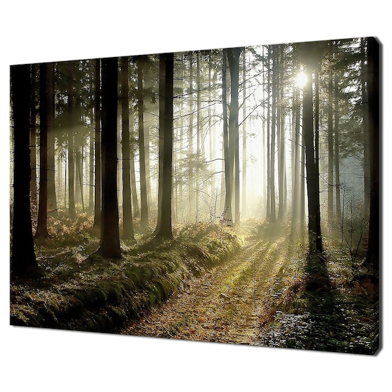 Beautiful Misty Forest At Dusk Trees Modern Design Home Decor Print Wall Art Picture Wall Hanging