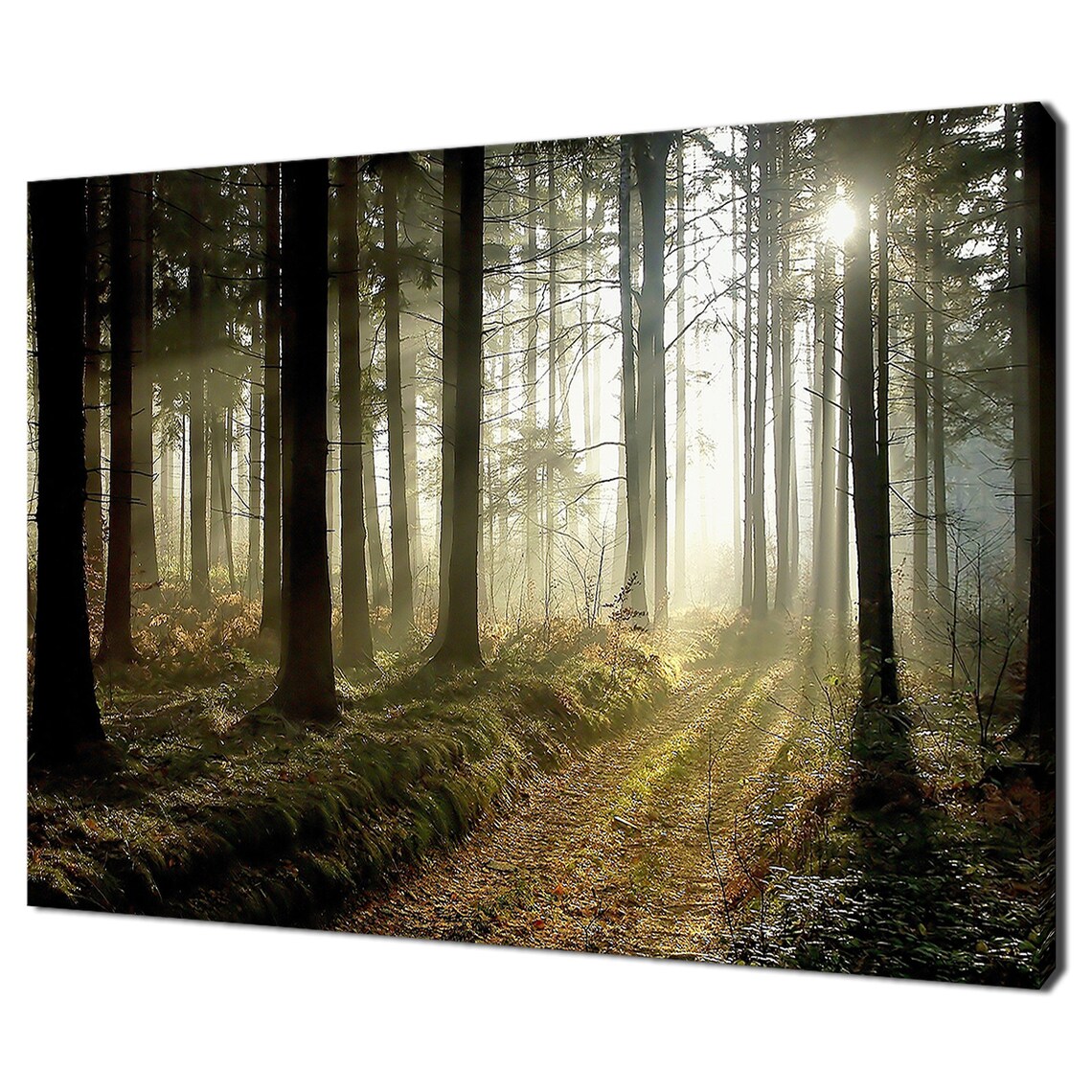 Beautiful Misty Forest At Dusk Trees Modern Design Home Decor Print Wall Art Picture Wall Hanging