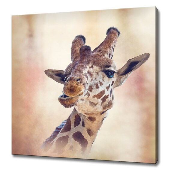 Giraffe Close Up Portrait Warm Soft Background Safari Wildlife Wall Art Print