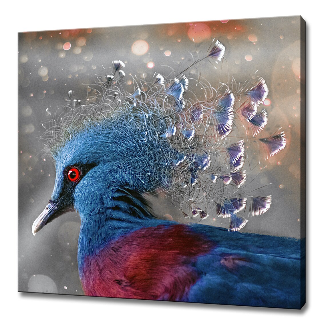 Victoria Crowned Pigeon Portrait Exotic Blue Bird Wildlife Wall Poster