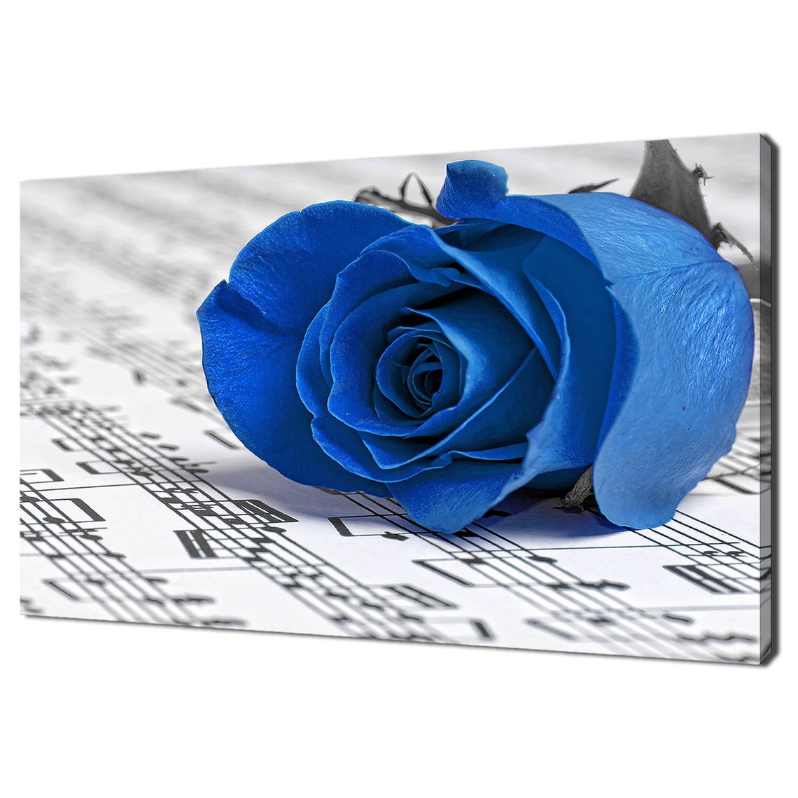 Blue Rose On Sheet Music Romantic Black And White Floral Wall Art
