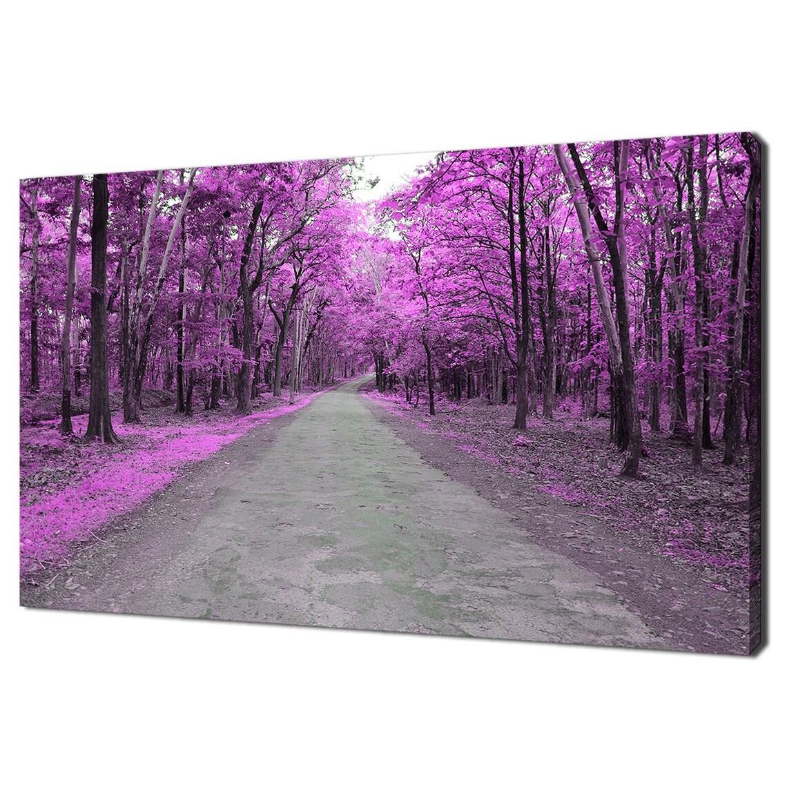Beautiful Pink Forest Road Landscape Modern Design Home Decor Print Wall Art Wall Hanging