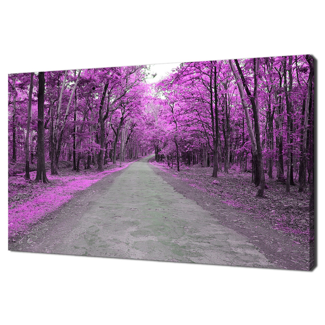 Magical Pink Forest Road Pathway Trees Infrared Style Landscape Poster
