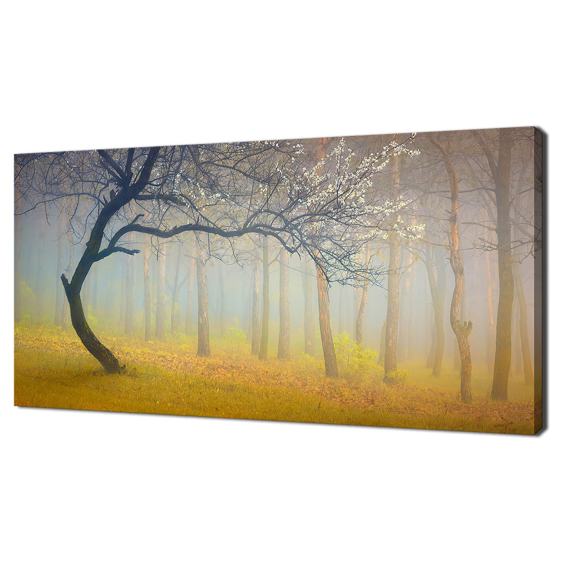 Tree In A Yellow Misty Forest Art Print
