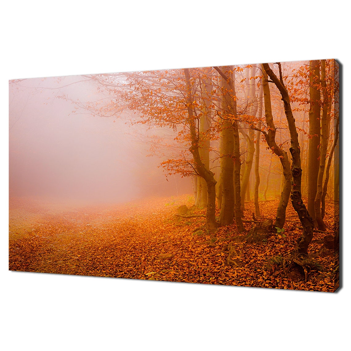 Misty Autumn Forest Path Golden Beech Trees Foggy Fall Poster