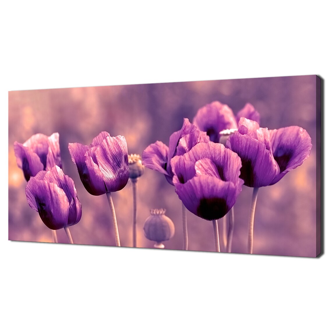 Purple Poppy Flowers Soft Focus Meadow Bloom Dreamy Floral Art Poster