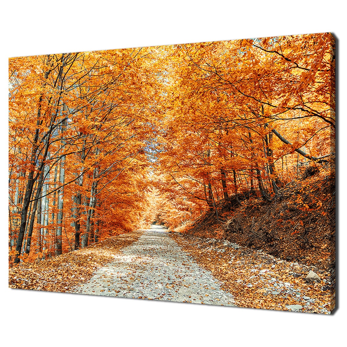 Autumn Forest Golden Orange Tree Lined Pathway Nature Travel Poster