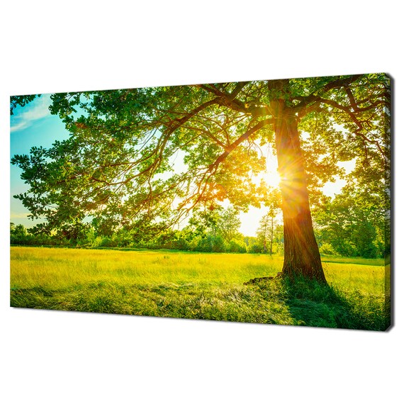 Summer Sunny Forest Green Tree Modern Design