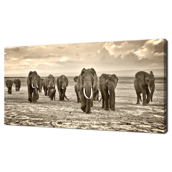 Elephant Herd Crossing African Savannah Sepia Wildlife Photo Wall Poster