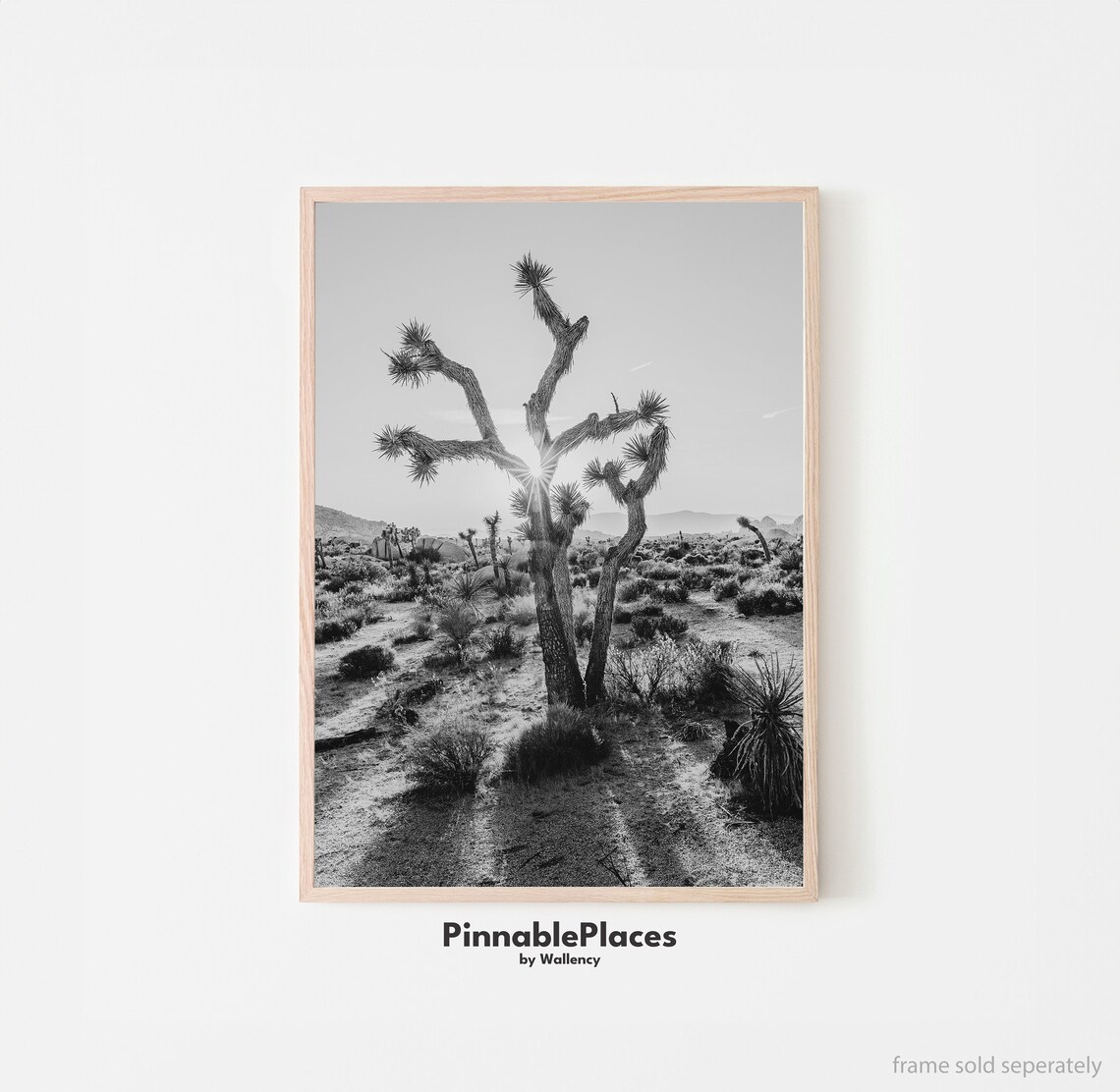 Joshua Tree Black and White Desert Photo Minimalist Art Print