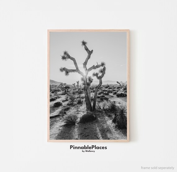 Joshua Tree Black and White Desert Photo Minimalist Art Print