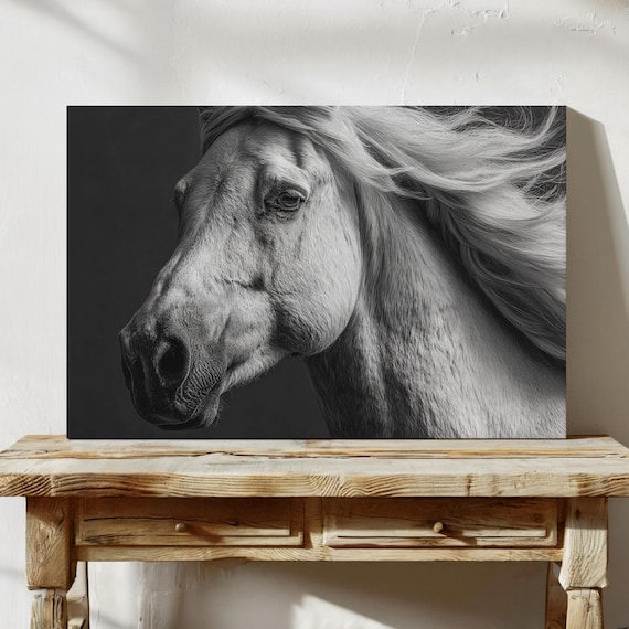 Graceful White Horse Close Up Flowing Mane Black Photo Poster