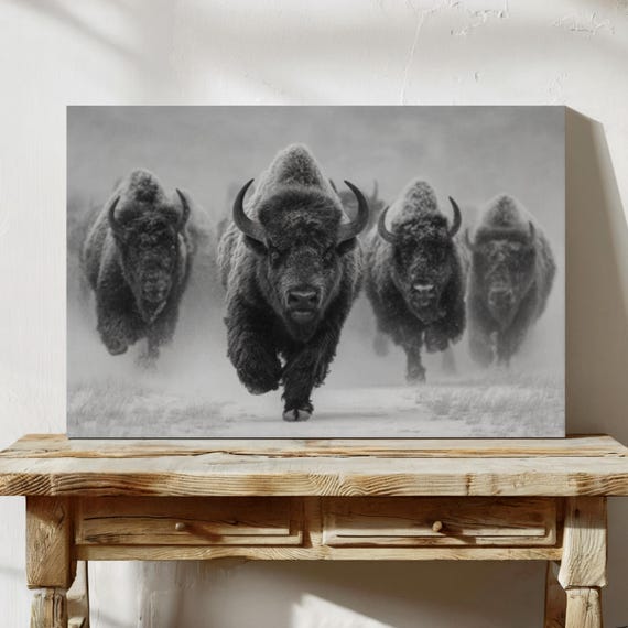 Charging Bison Herd Black And White Wildlife Wall Art