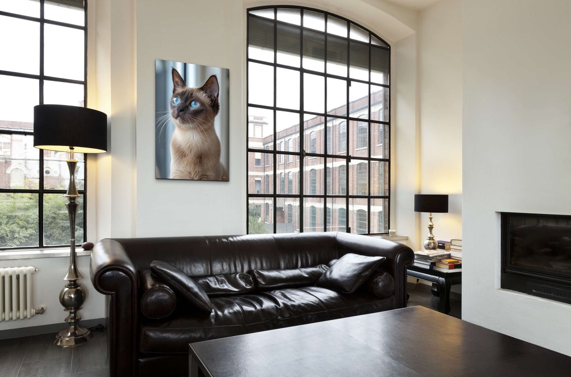 Siamese Cat Blue Eyes Portrait Elegant Feline Photography Poster - Image 5