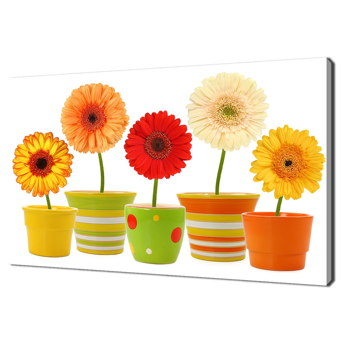 Colorful Gerbera Daisies In Bright Painted Pots Cheerful Floral Print