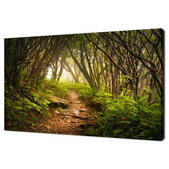 Craggy Gardens Appalachian Hiking Trail Modern Design Home Decor Print Wall Art Picture Wall Hanging