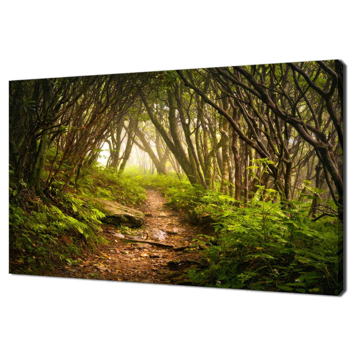 Craggy Gardens Appalachian Hiking Trail Modern Design Home Decor Print Wall Art Picture Wall Hanging
