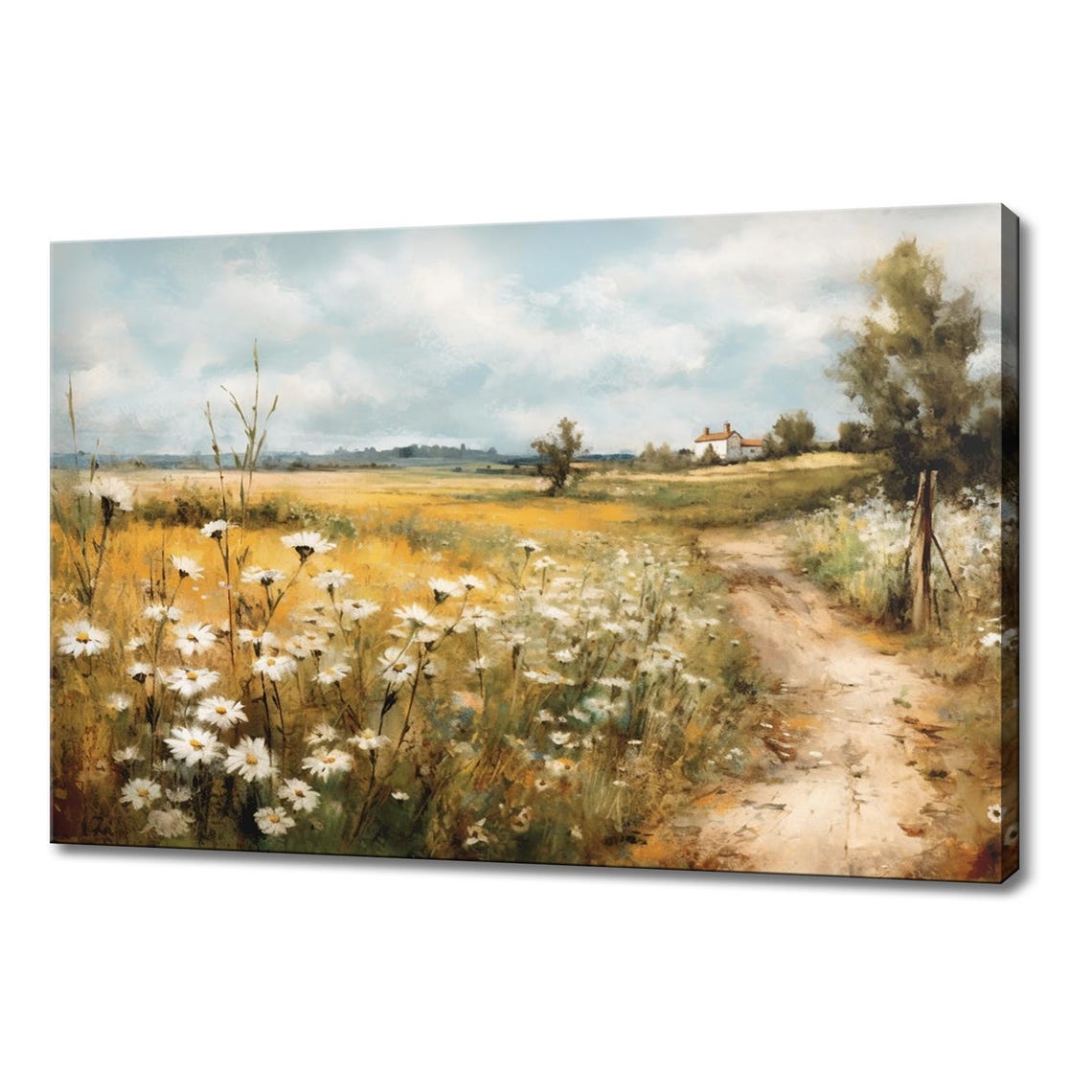 White Daisies Along Dirt Path Farmhouse Golden Field Vintage Poster
