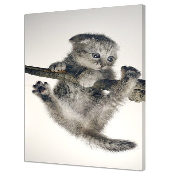 Adorable Grey Kitten Hanging on Tree Branch Cute Funny Cat Wall Poster
