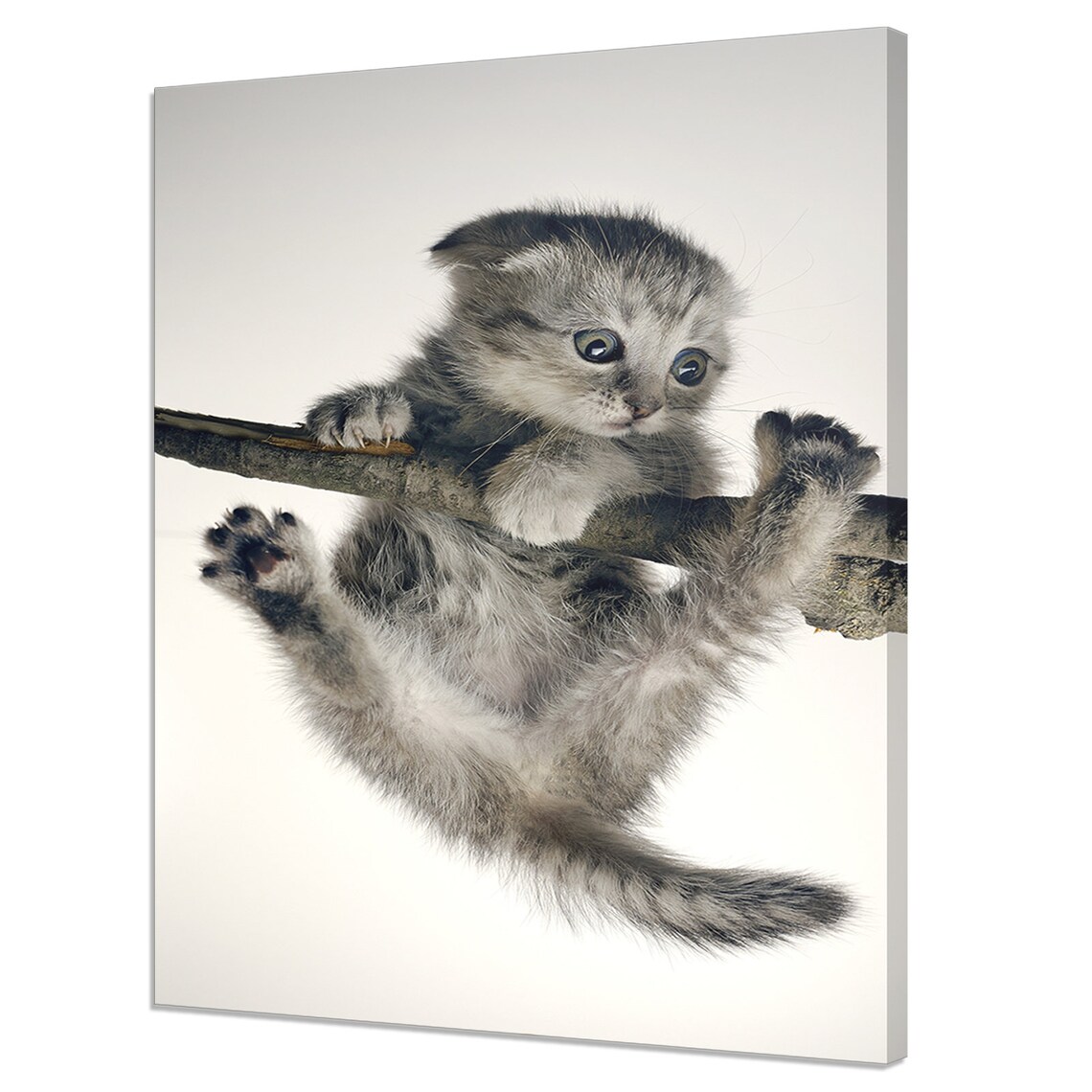 Adorable Grey Kitten Hanging on Tree Branch Cute Funny Cat Wall Poster