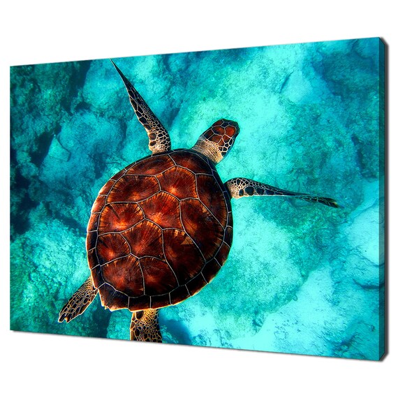 Sea Turtle Swimming Turquoise Tropical Ocean Underwater Wildlife Poster