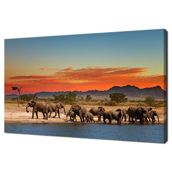 Herd Of Elephants, African Savanna Sunset Art Print