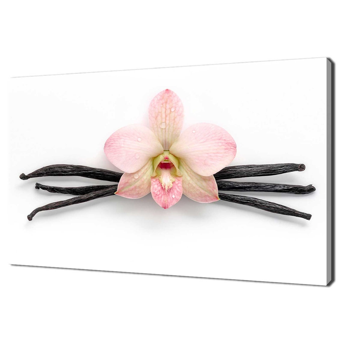 Pink Orchid Flower Vanilla Sticks Minimal White Background Art Poster