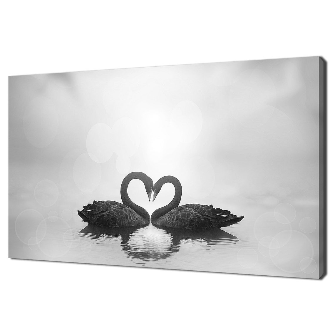 Black Swans Forming Heart Shape Romantic Lake Photography Art Poster