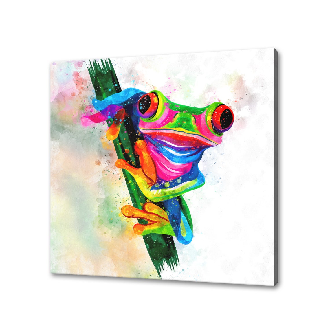 Red Eyed Tree Frog Rainbow Watercolor Perched On A Branch Poster
